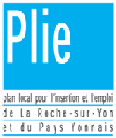 plan local pour l'insertion et l'emploi la roche sur yon